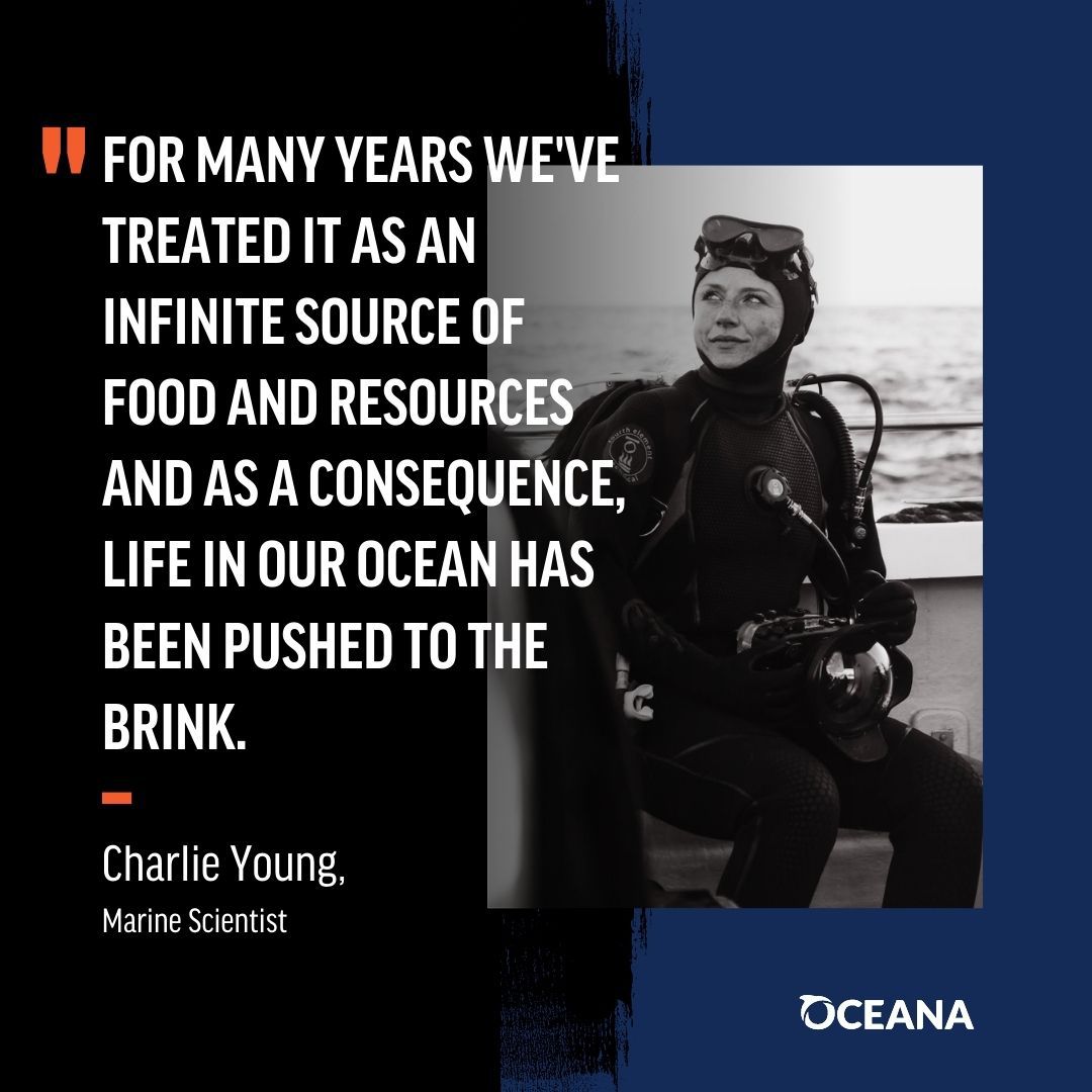 Oceana UK (@oceanauk) on Twitter photo Shoutout to Charlie Young <a href="/ocean_magpie/">Charlie Young 🌊✨</a>, a champion of ocean activism ✊
Charlie is a marine scientist and presenter living full-time at sea ⛵️
From documenting wildlife, to investigating human abuses on the ocean, she is taking a #StandForOceans.
👇 Shoutout to Charlie Young <a href="/ocean_magpie/">Charlie Young 🌊✨</a>, a champion of ocean activism ✊
Charlie is a marine scientist and presenter living full-time at sea ⛵️
From documenting wildlife, to investigating human abuses on the ocean, she is taking a #StandForOceans.
👇
