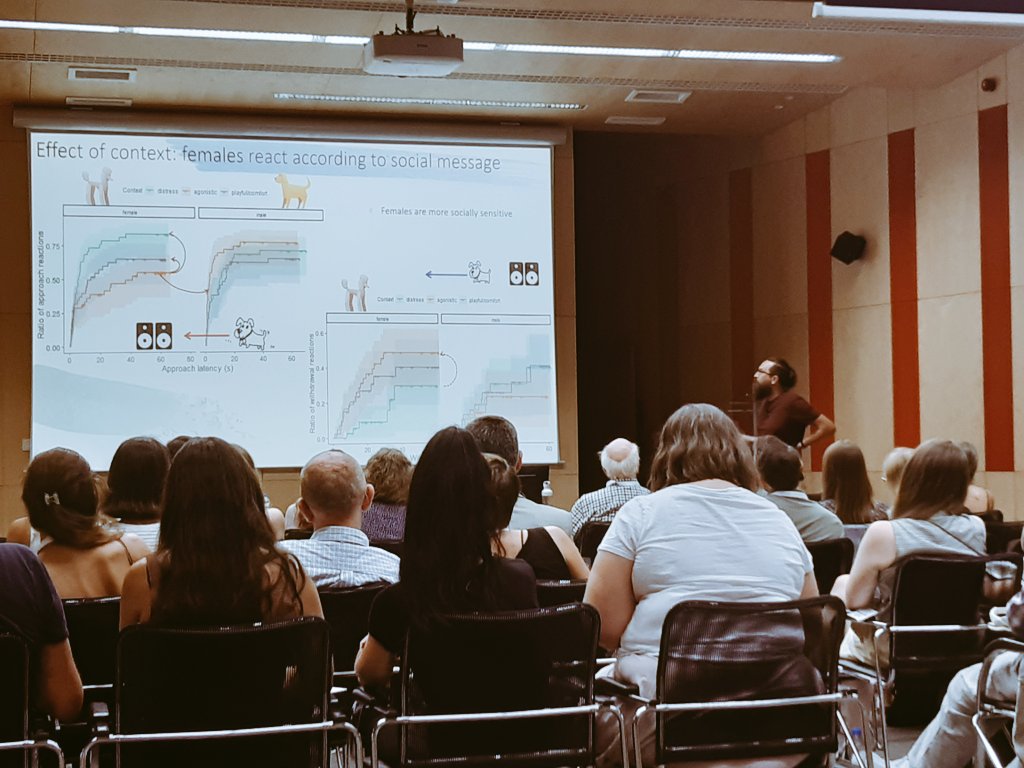 Saara Junttila 🐶 tweet media