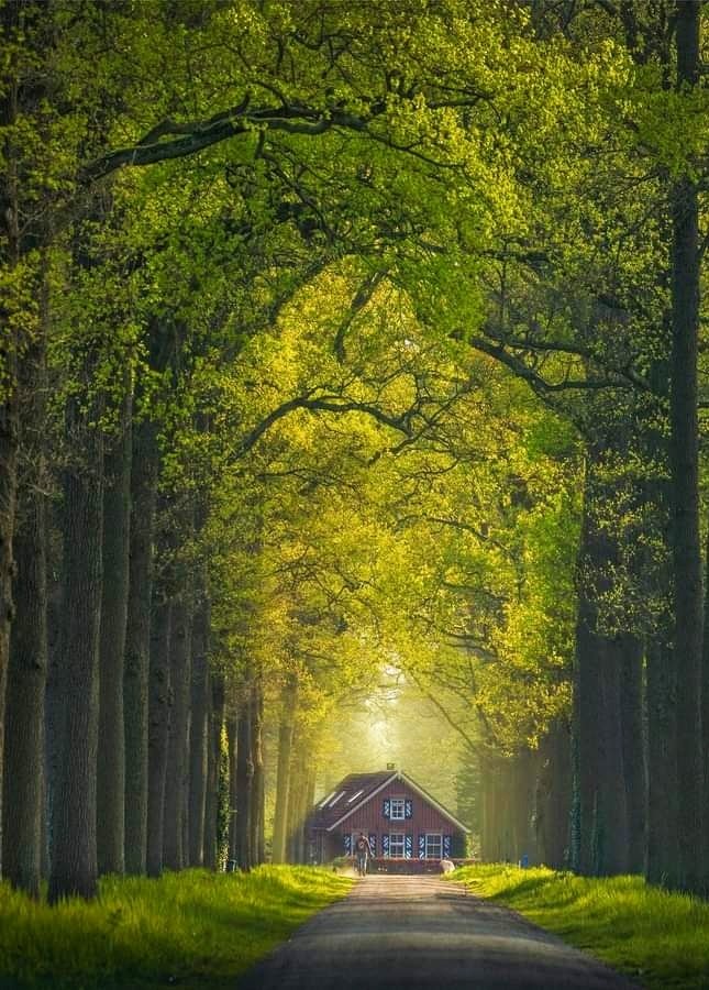 Vamos a por el jueves
Let's go for Thursday 💚