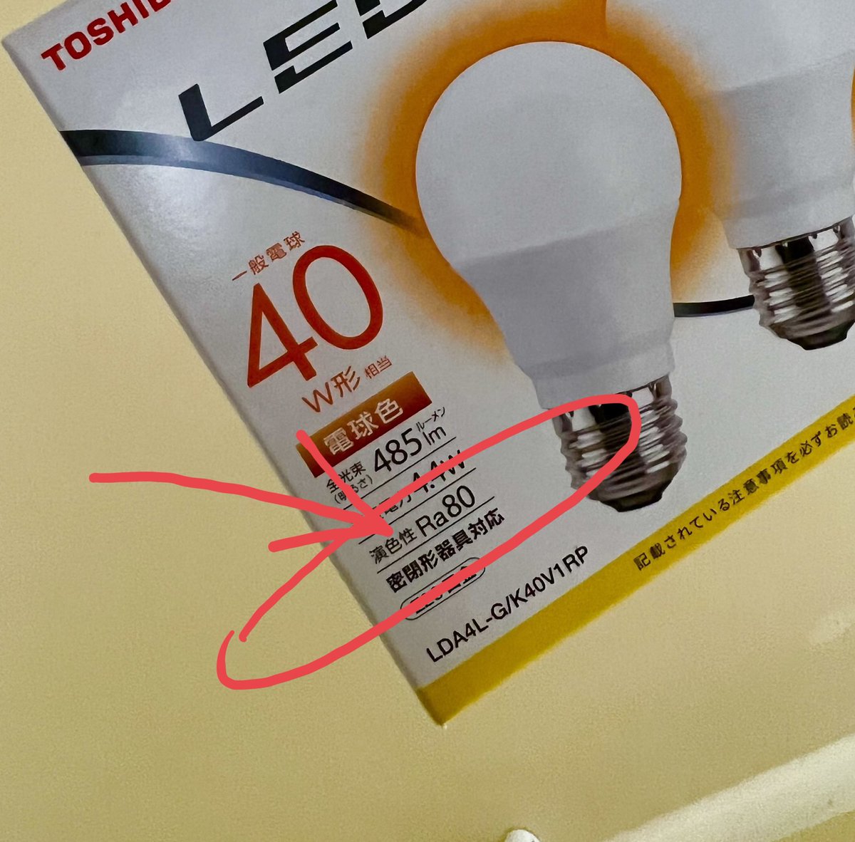 風呂 の 電球