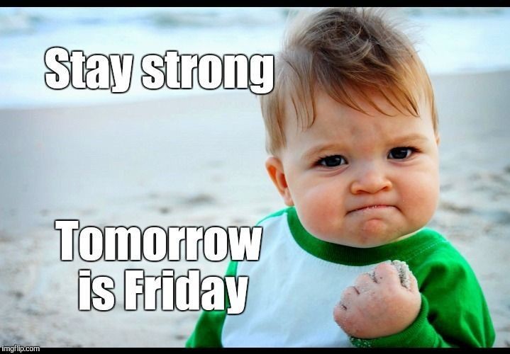 StoopThys's tweet photo. 💪🏻💪🏻 https://t.co/TcMlFUhSjn