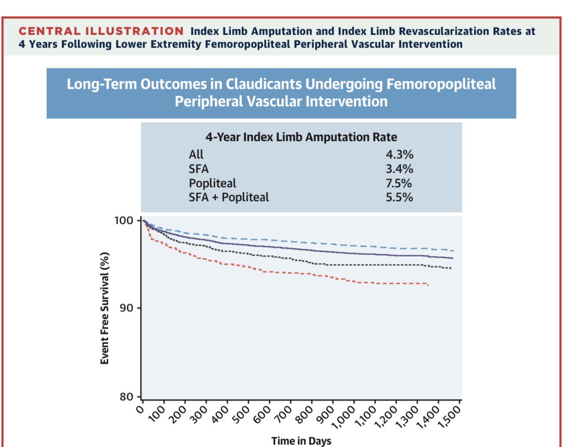 Thanks @TCTMD for covering our analysis of fempop PVI in claudicants. One in 25 will suffer an amputation at 4years. Higher rates if popliteal involvement. @SCAI @HadyLichaaMD @DrDrewKleinPHI @SJcardio @JACCJournals @CouncilPvd @baileyannRN @cardiacpolymath