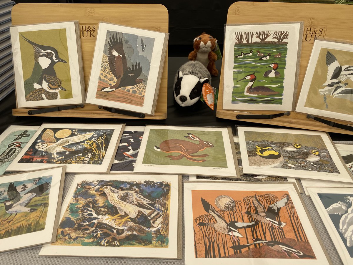 Swallowtail Print tweet media