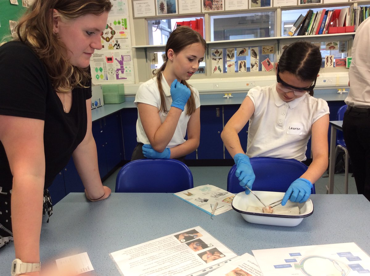 DecoyPri's tweet photo. Today a group of Yr 5 &amp; 6 pupils had the opportunity to go to @TorquayBoysGS  today.
We used microscopes to look at the heart rate of daphnia and dissected a cow eye. 
Thank you Mrs. Thompson and TBGS.
We will conclude our science focus, with our Nursery and Reception children. https://t.co/KqV1NK6stM