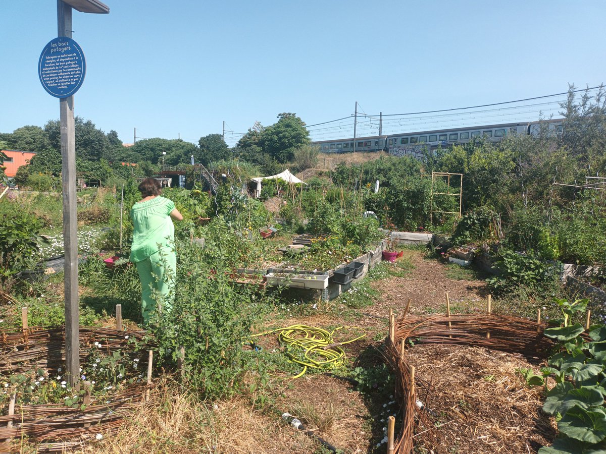 Aujourd'hui avec <a href="/isalaussine/">Isabelle Laussine</a> sur le très beau #tierlieu #LeTalus #Marseille pour la présentation d'outils #FALC (facile à lire et à comprendre) créé par #ICOM'Provence sur l'impact de l'agriculture et du numérique sur l'environnement 👍
Cc <a href="/EricSemerdjian/">eric semerdjian</a> <a href="/Marseille/">Ville de Marseille</a>