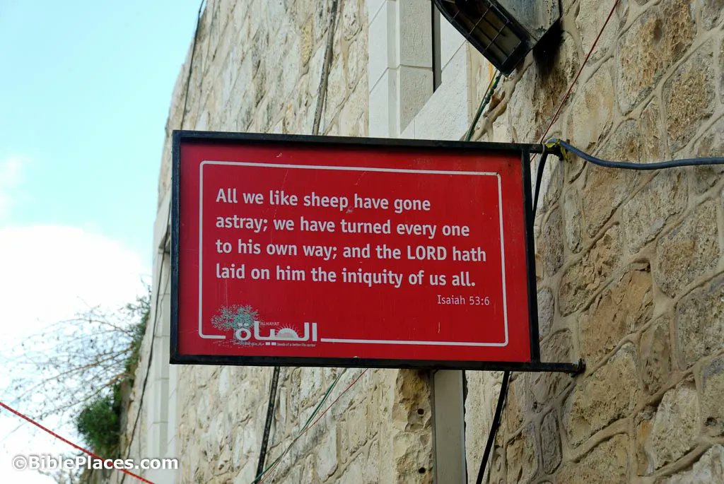BiblePlaces's tweet photo. "All we like sheep have gone astray; we have turned every one to his own way; and the Lord hath laid on him the iniquity of us all" (Isaiah 53:6). This sign, in English and in Arabic, was one of a series in the Old City of Jerusalem. https://t.co/AwDVGe50Fy