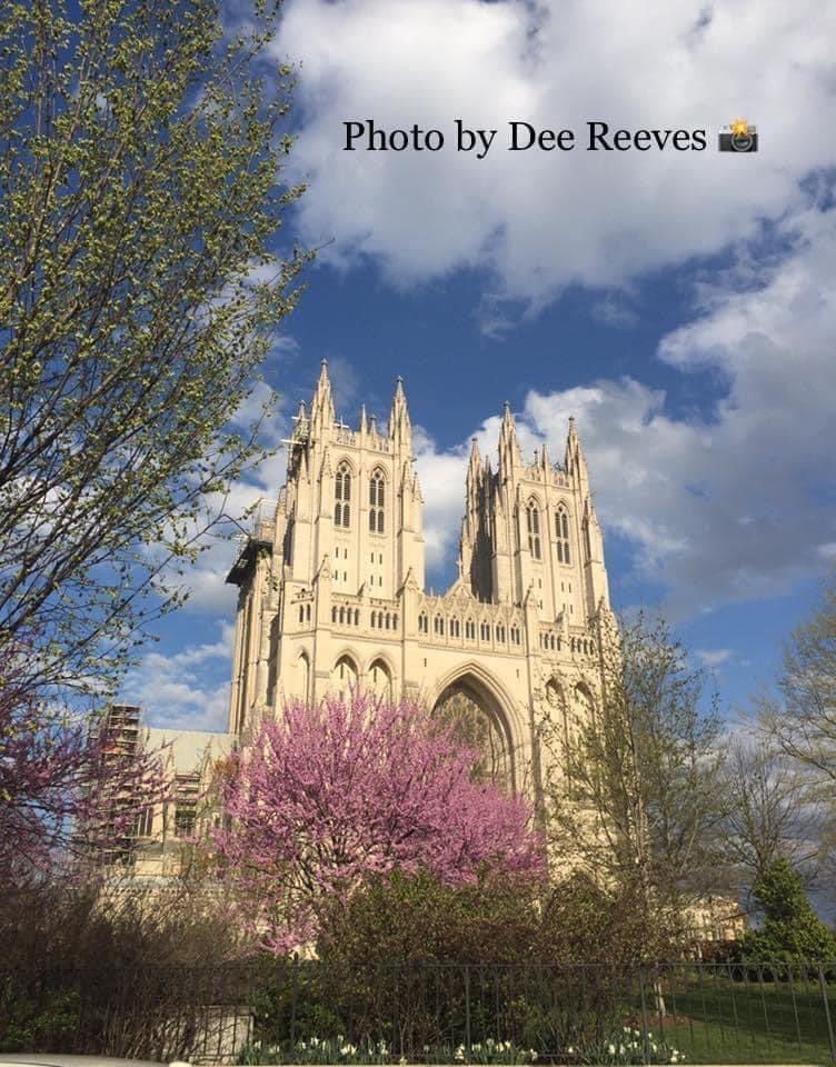 In the District of Columbia you will find many wonderful historical churches. #Omnist 
#Churches #WashingtonDC #WashingtonDCLife