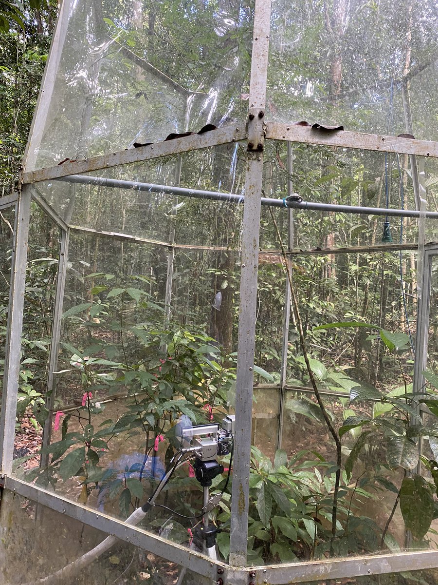 Prof. Sami Ullah tweet media