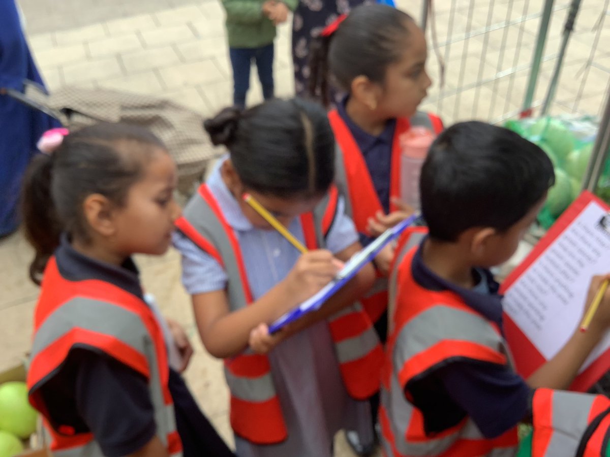 Halley Year 1 tweet media