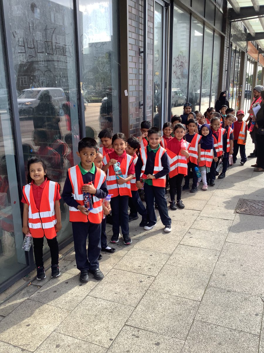 Halley Year 1 tweet media