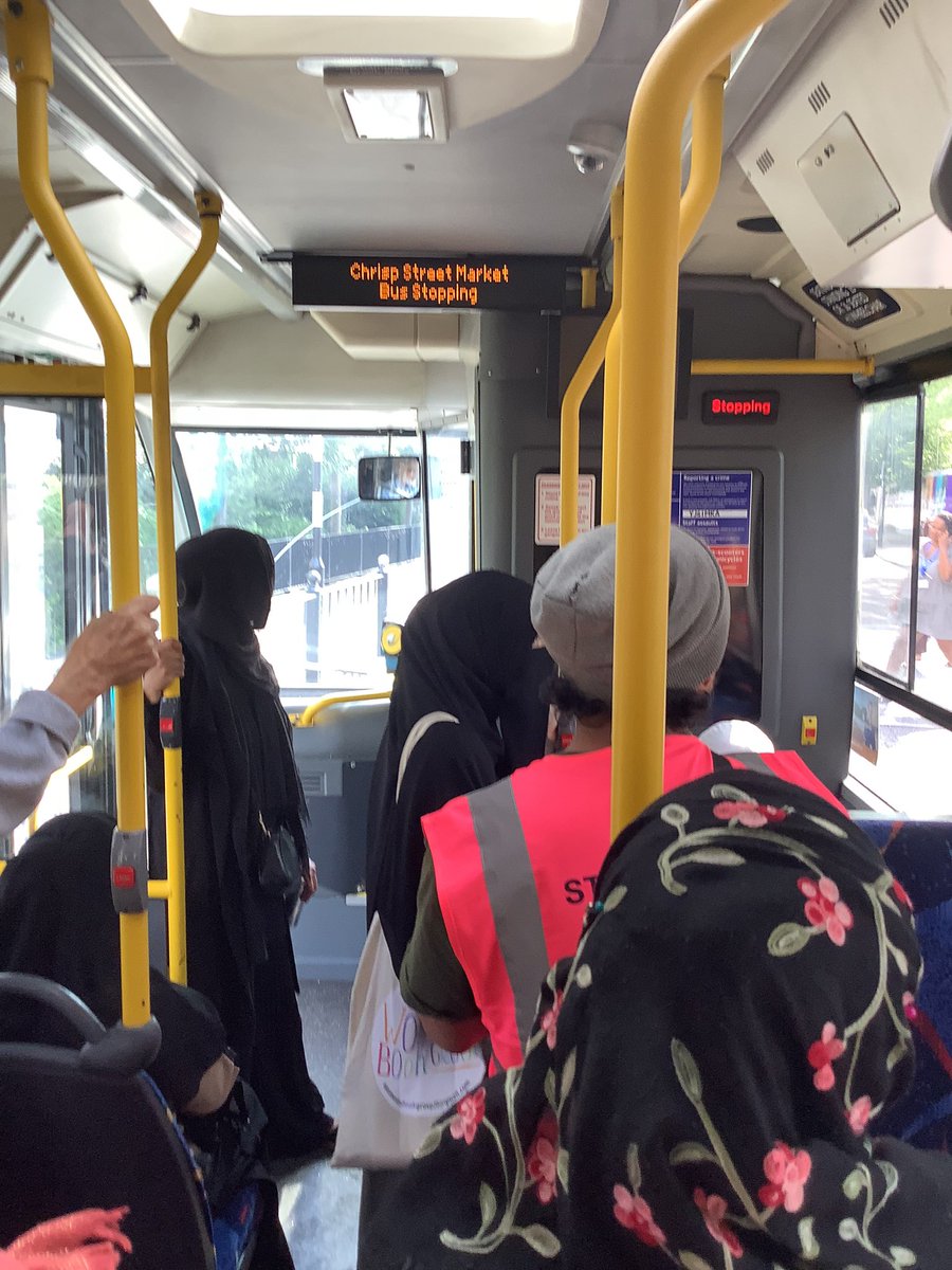 Halley Year 1 tweet media