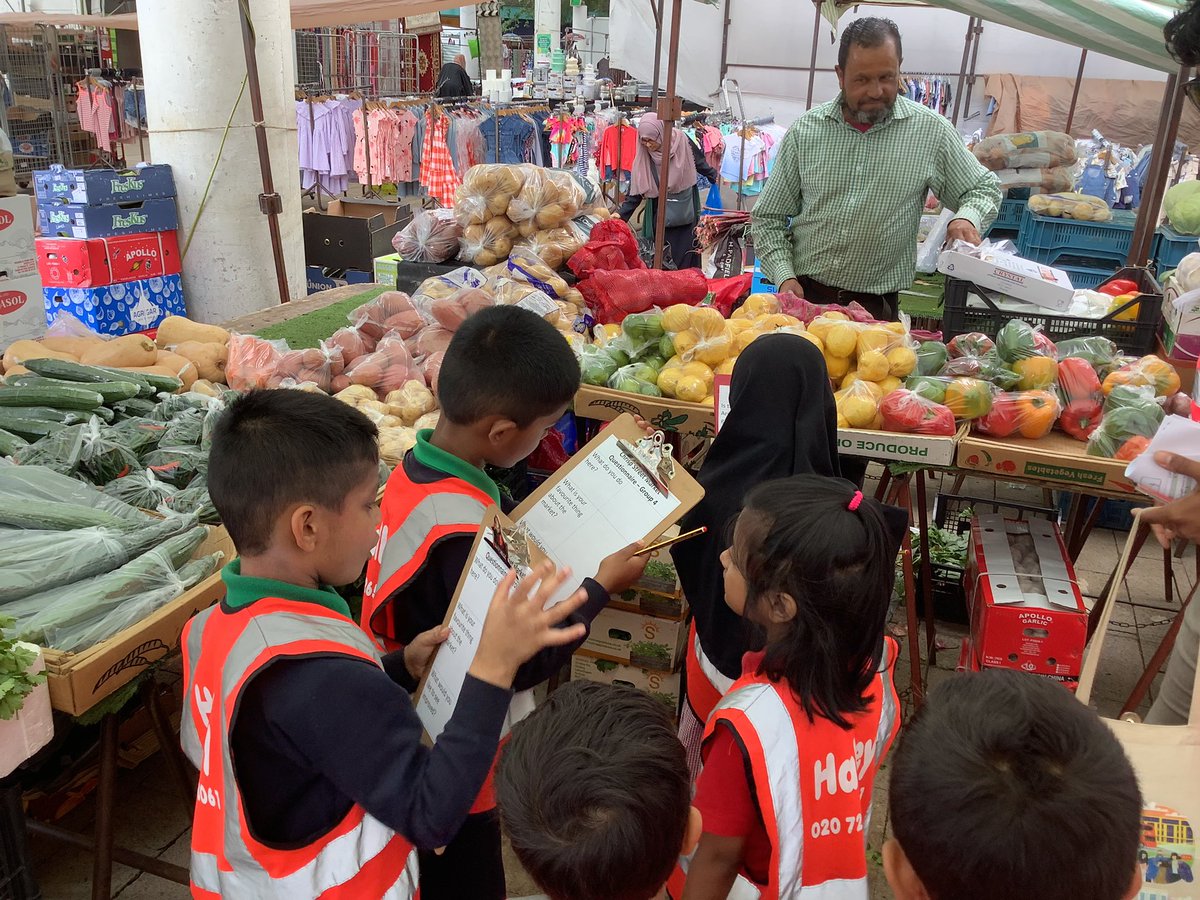 Halley Year 1 tweet media