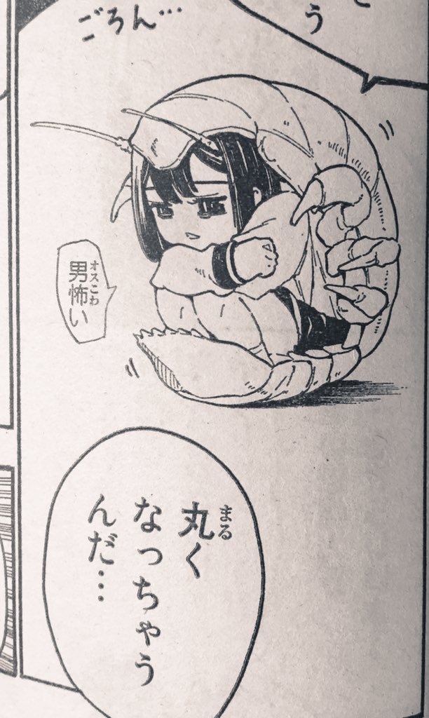 グソクムシ 