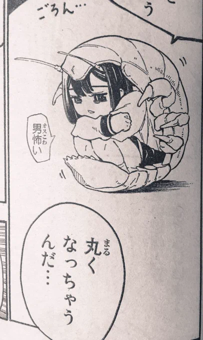 グソクムシ 