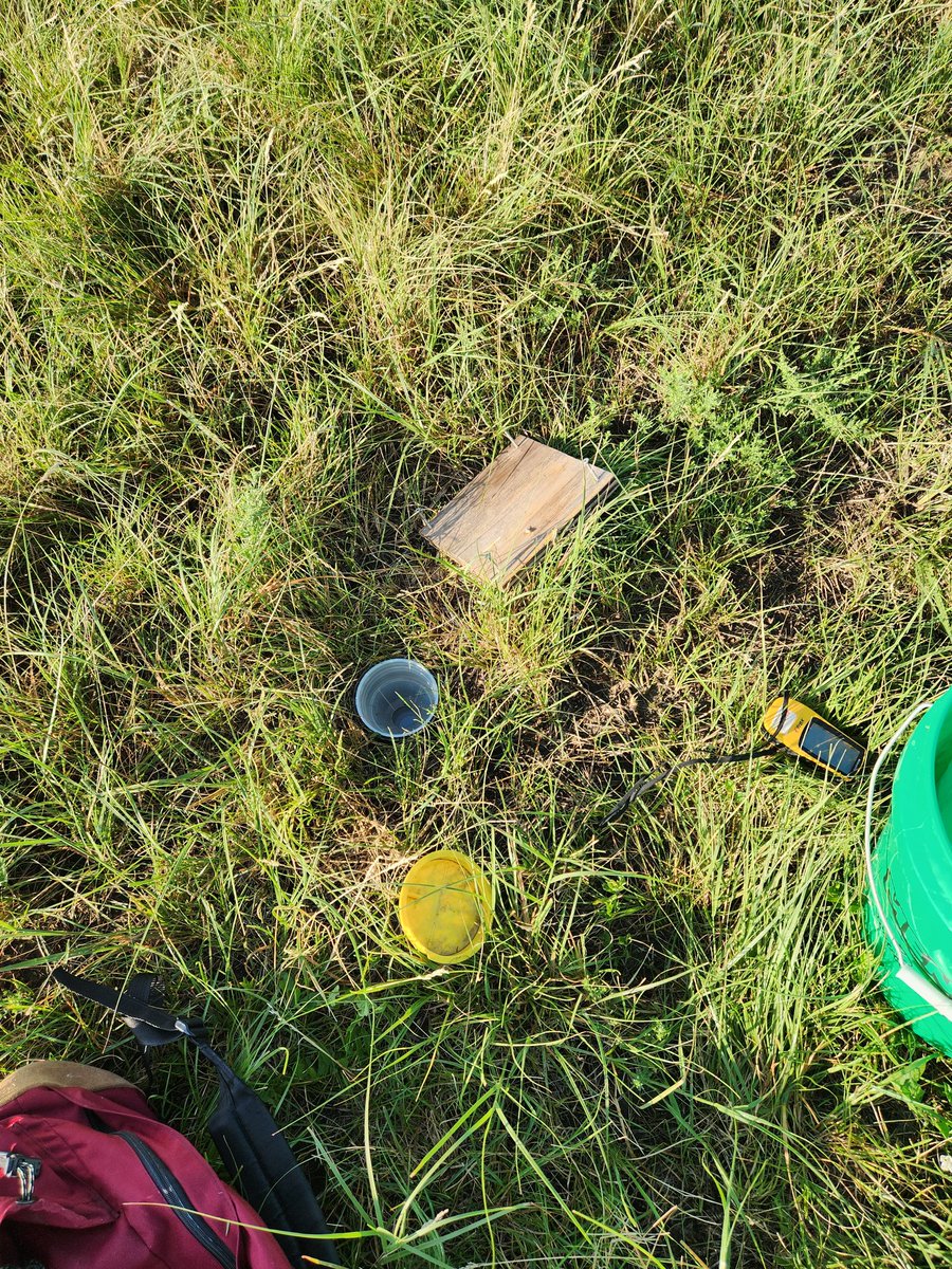 Good morning from my field "office" in the prairie at the #FortPierreNationalGrassland #FPNG! May the pitfall trap deities grant us a good week of samples! <a href="/USFSNebraska/">Nebraska NF&G</a>