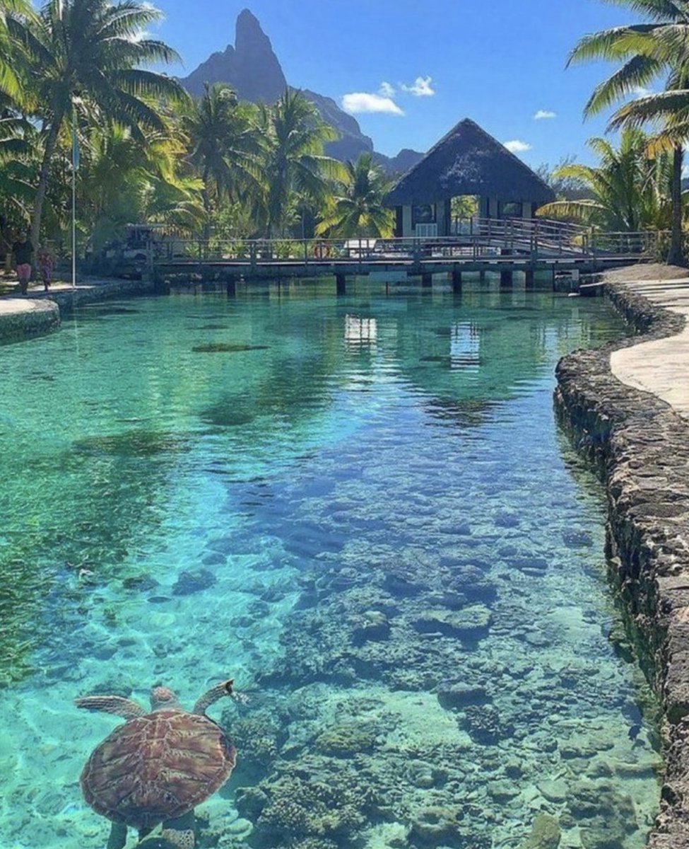elimper1o's tweet photo. 2. Bora Bora, Polinesia Francesa https://t.co/a7POqISRRi