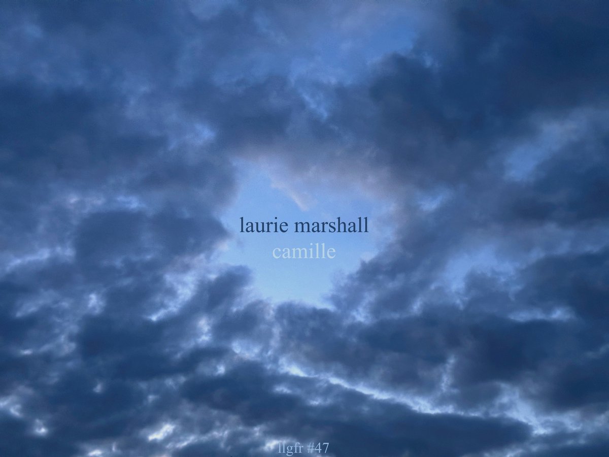ascoomer's tweet photo. @LaurieMMarshall
House for Sale (As Is)
w/ B-Side Camille
8/1/23
#LaurieMarshall #ASCoomer #LostLongGoneForgottenRecords #Poetry https://t.co/Dfgum0EhRb