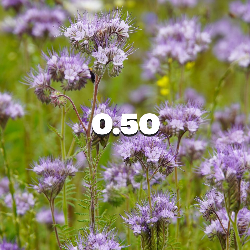 This is how the NDVI values correlate with the real situation in the fields 🤓
Feel free to add your examples in replies!