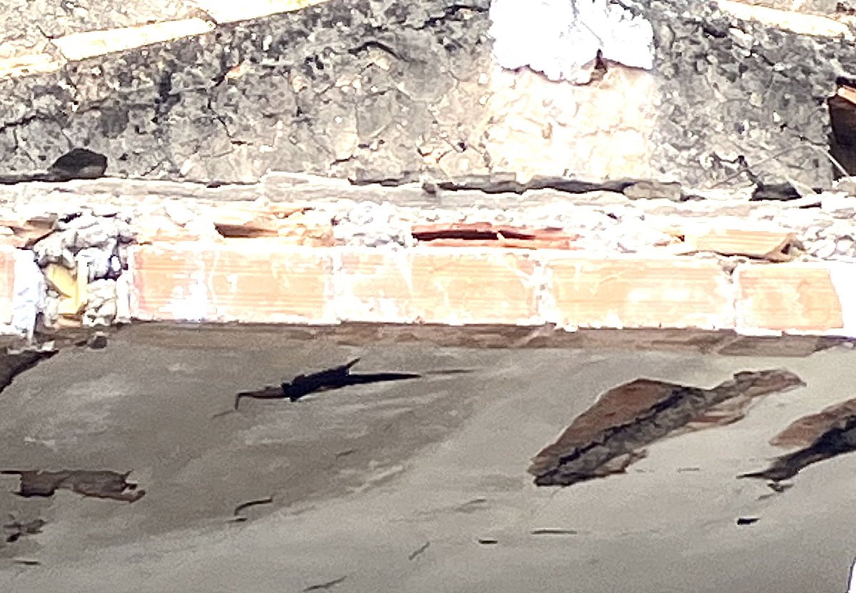 AlfredoSanz's tweet photo. Aunque ahora no se hable tanto del cemento aluminoso, sigue existiendo el riesgo, en ocasiones extremo, como puede verse en estas imágenes.Con las guias del @ITeC_es afronté cientos de inspecciones en su momento. Observad el estado de las viguetas…😱@CGATEsp https://t.co/pWtVuwI0SD