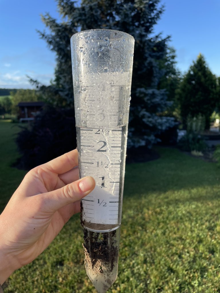 Sarah Kiar tweet media