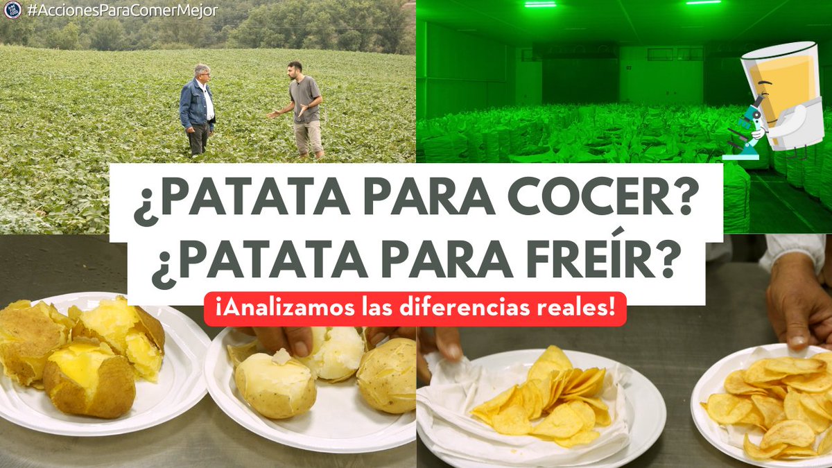 Patata para freír
Patata para cocer
¿Son tan distintas? ¿Está justificada esta clasificación?
He ido a La Rioja para conocer su producción, y poder comprobarlo con ensayos de laboratorio y cata.
#AccionesParaComerMejor
¡Dentro hilo! (y vídeo)
youtu.be/3fkYamOj8uw