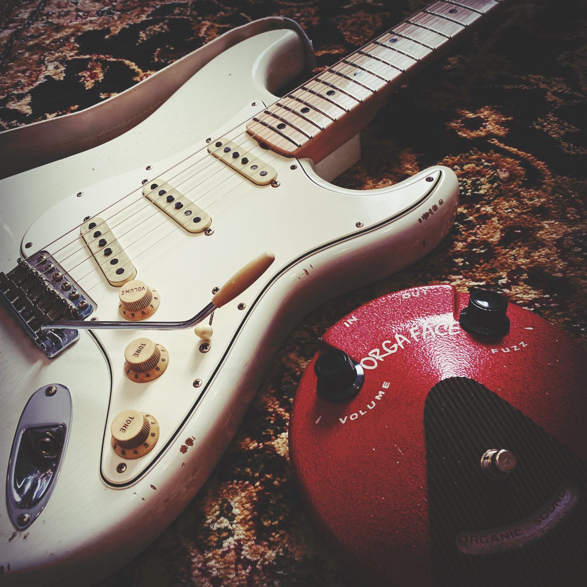 Jack_Meria's tweet photo. #Fender
#Orgaface https://t.co/JUt5gr7GQf