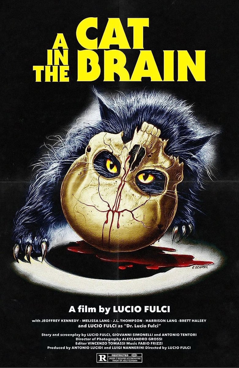 EugWSerra's tweet photo. On August 8, 1990, A Cat in the Brain was released in Italy. #ACatintheBrain #LucioFulci https://t.co/DtsaQc4me7