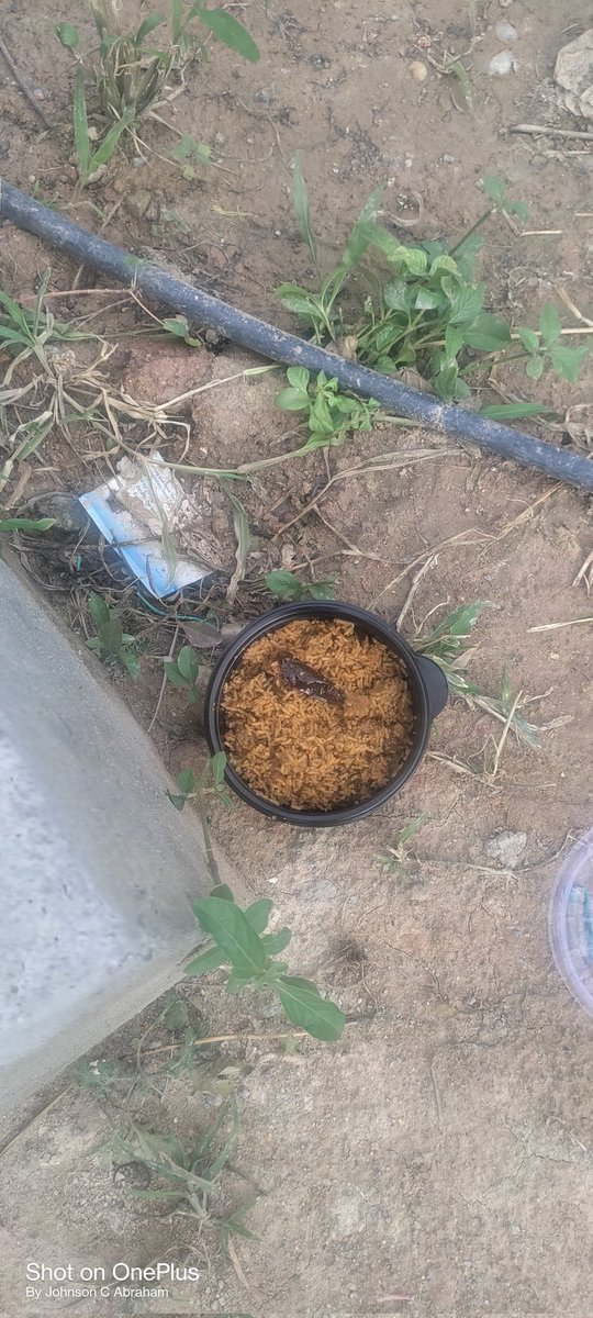abrahamcjohnson's tweet photo. @Swiggy @fssaiindia

I have ordered a puliyogare from puliyogare point it's not even a boiled,
I was forced to dispose of the food and it felt very bad
 complained but no solution https://t.co/fQygEwmGRr