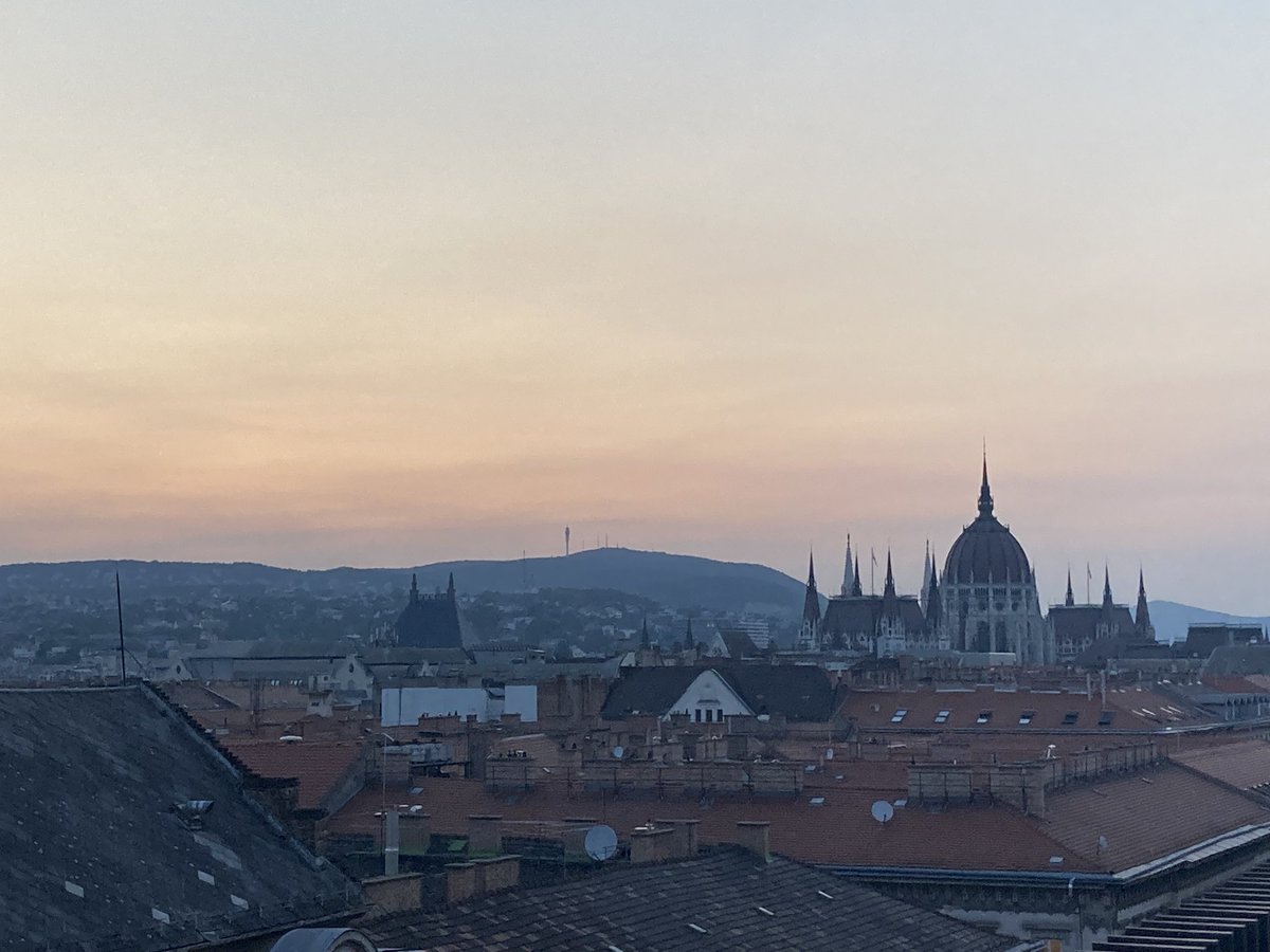 Sara Mazzini tweet media