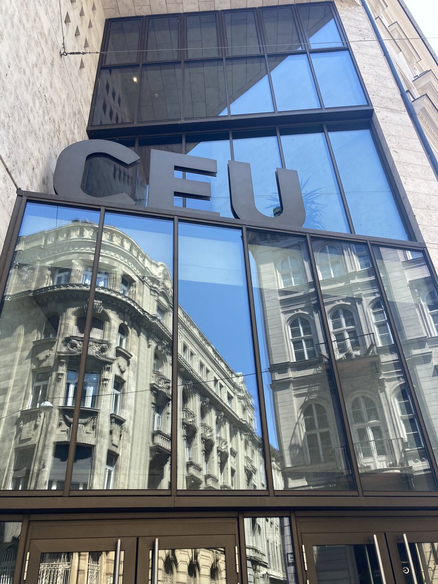 Sara Mazzini tweet media