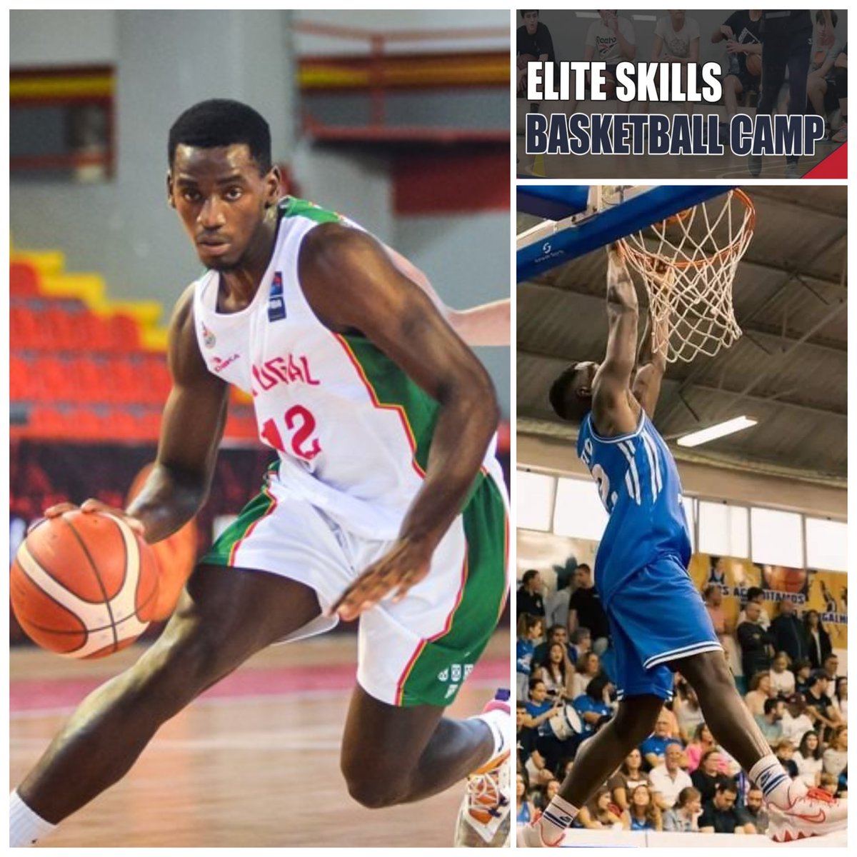 CoachJaneiro's tweet photo. TIAGO BARRETO 
No Elite Skills Camp 
23 a 29 de Julho em Sangalhos 

O Tiago é um jogador formado no Sangalhos DC, vai visitar o nosso Campus, e partilhar connosco a sua experiēncia de vestir a camisola de Portugal, e a conquista de um lugar na Seleção Nacional Sub 20

BEM VINDO https://t.co/FYXS2mMVWK