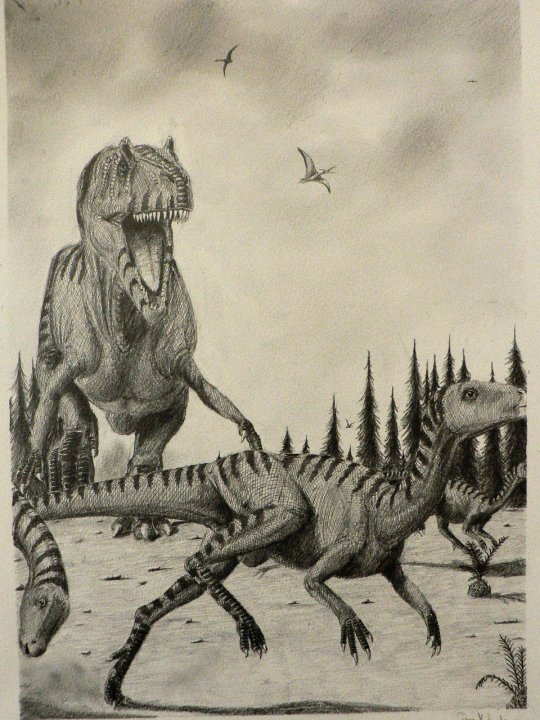 Allosaurus hunting for some food.
2010. 
#TrowbackThursday #allosaurus #paleoart #pencildrawing