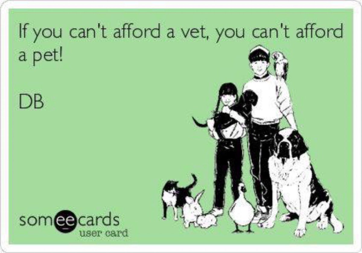 FACTS #vetmed #veterinarians #vettech #careforyourpets #veterinarylife