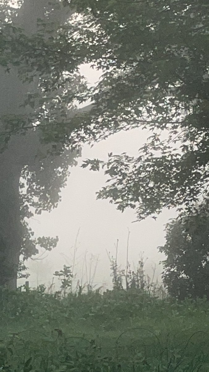 firefighter89's tweet photo. Just a tad bit foggy south of Surprise . #ButlerCountyNE https://t.co/ZjjMZ3AwO9