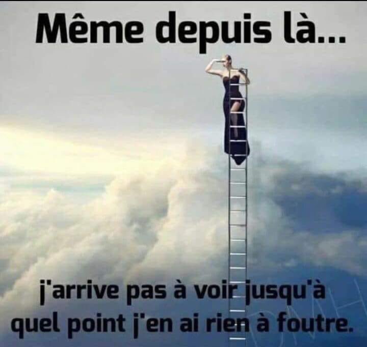 Moutmoute1's tweet photo. @sandrousseau https://t.co/PMgcbnt5bM