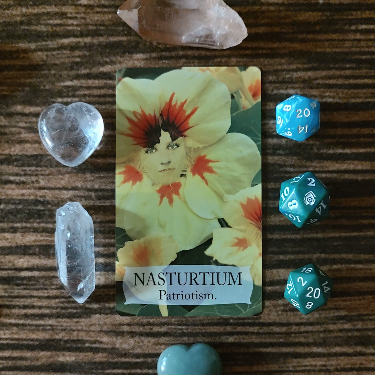 FairySurreal's tweet image. You believe in conducting your life by a strong moral code. You possess the ability to take a long-term view when many look for the short cuts.  buff.ly/3OQOoxo 

#nasturtium #floriography #botanicaloracle #tarot #oraclecard #oracledeck #lovedayfunckart