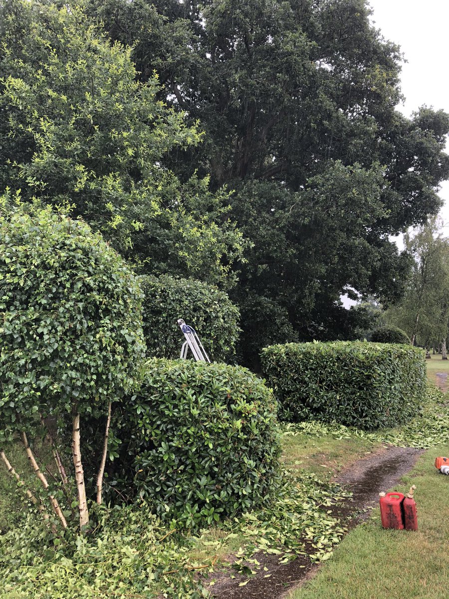 Miles_gkeeper's tweet photo. Lovely bit of Hedge work and tidying up a few trees at the 5th hole this afternoon. #hedgecutter #longreach #strim #rodydem #silverb #greenkeeper #sthil #ashfordkentgolfclub https://t.co/Xez9YEJgSb