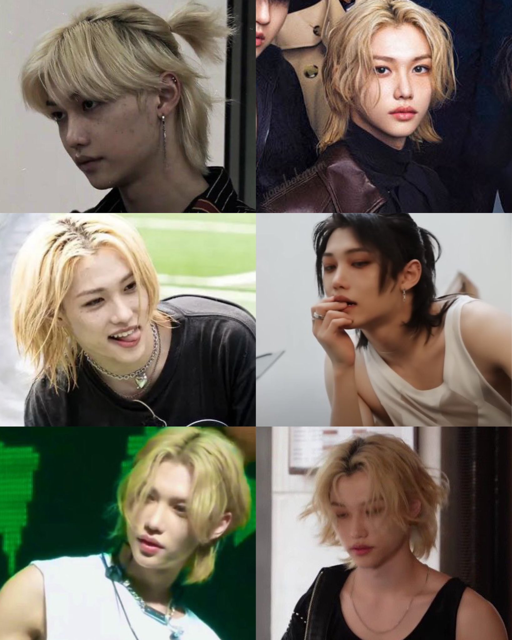 dawn-is-a-free-bird-dawn-siee-twitter