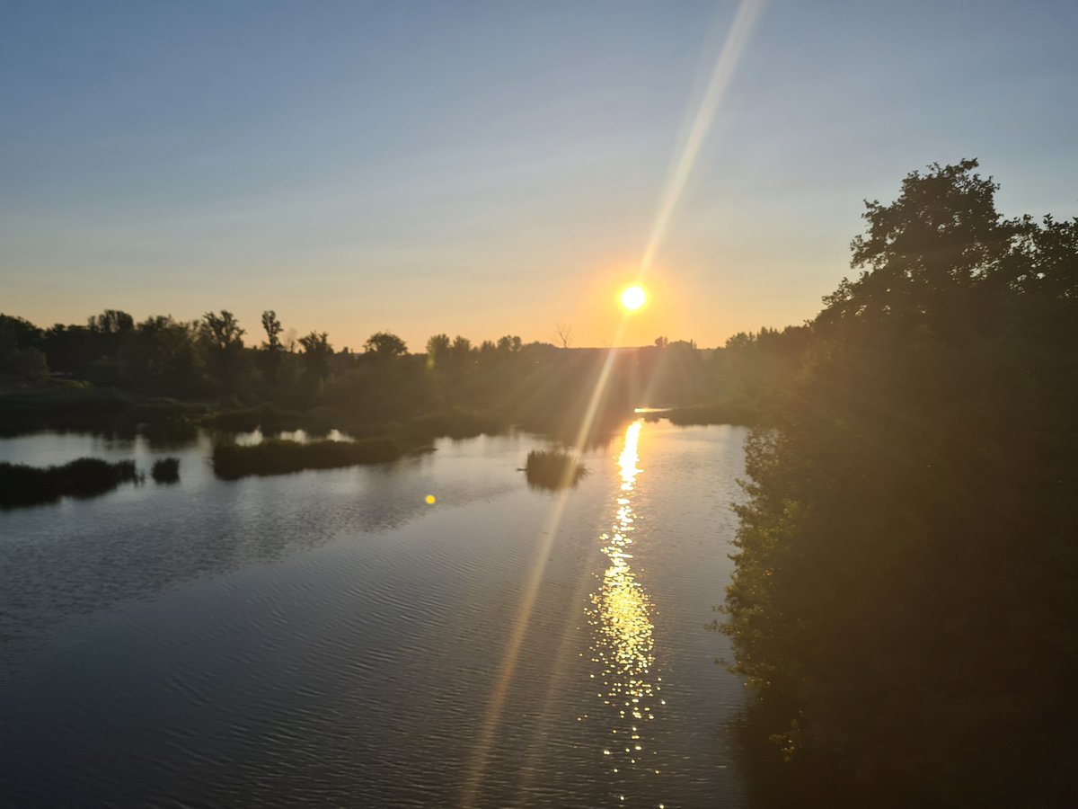 The music therapist is an artist and a scientist in preparing and planning the sessions. There is an art of creating and experimenting before being in-person with the client. This unique duality realised through music is part of the work of the music therapist. #musictherapy