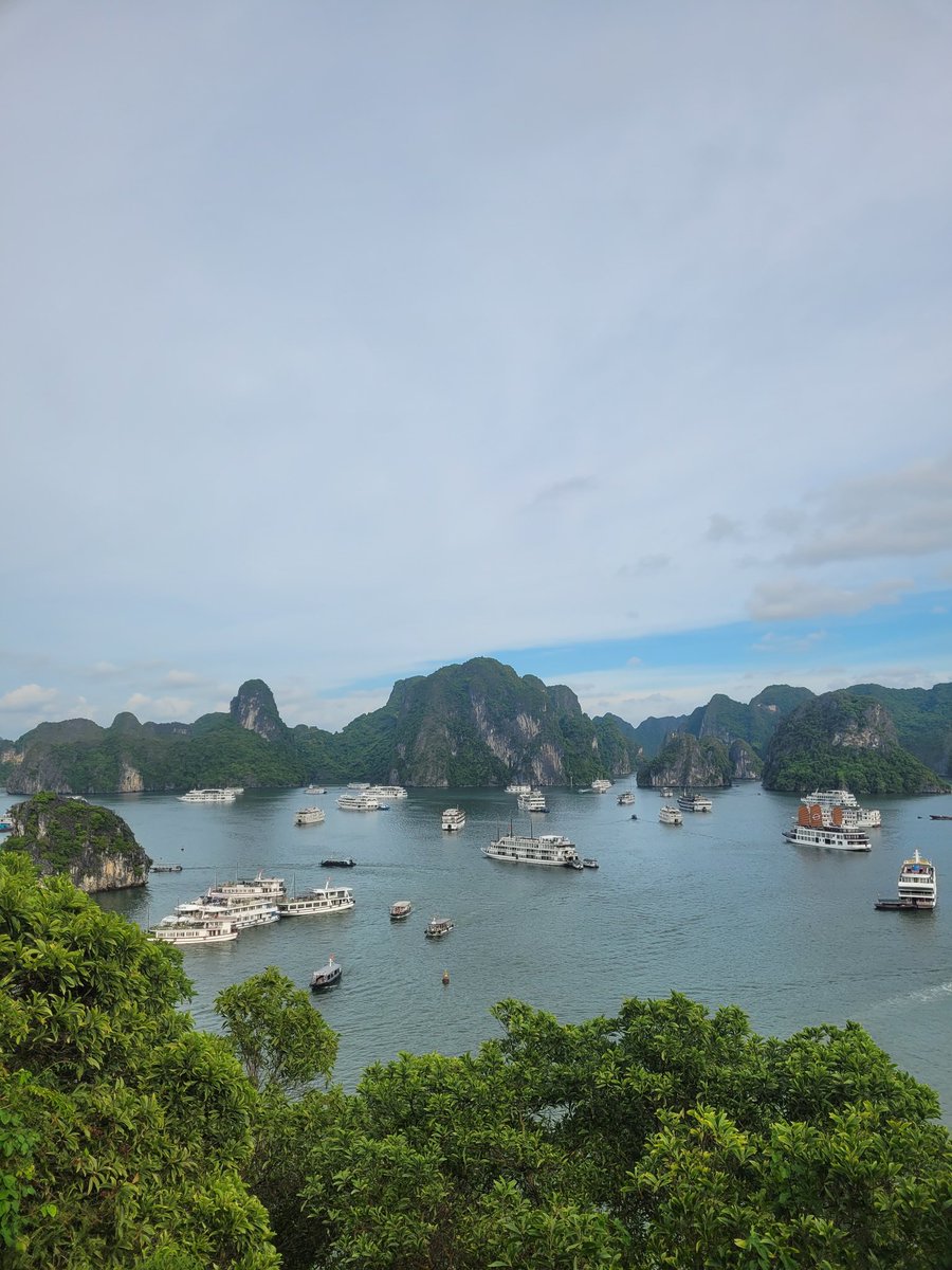 Good morning, beautiful people 🌄☕

Happy Wednesday or Thursday (I don't remember 🤣) from Ho Long Bay 🇻🇳🪷

💍💍💍💍💍💍💍💍💍