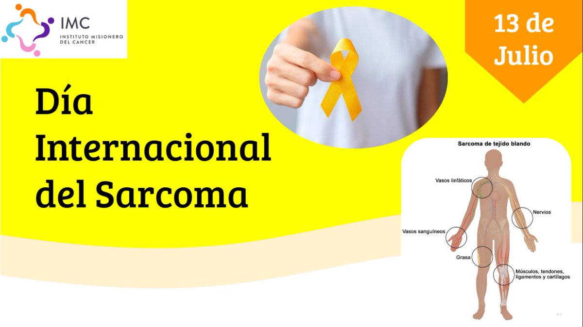 Marcela Kober tweet media