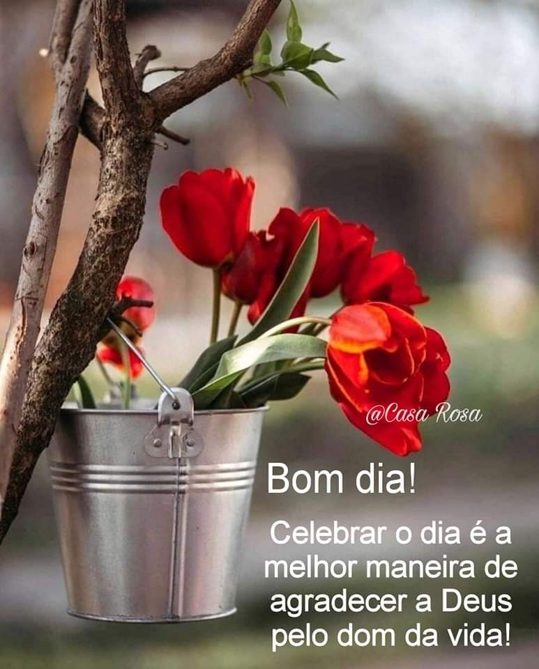BOM DIA AMIGOS LINDOS!!