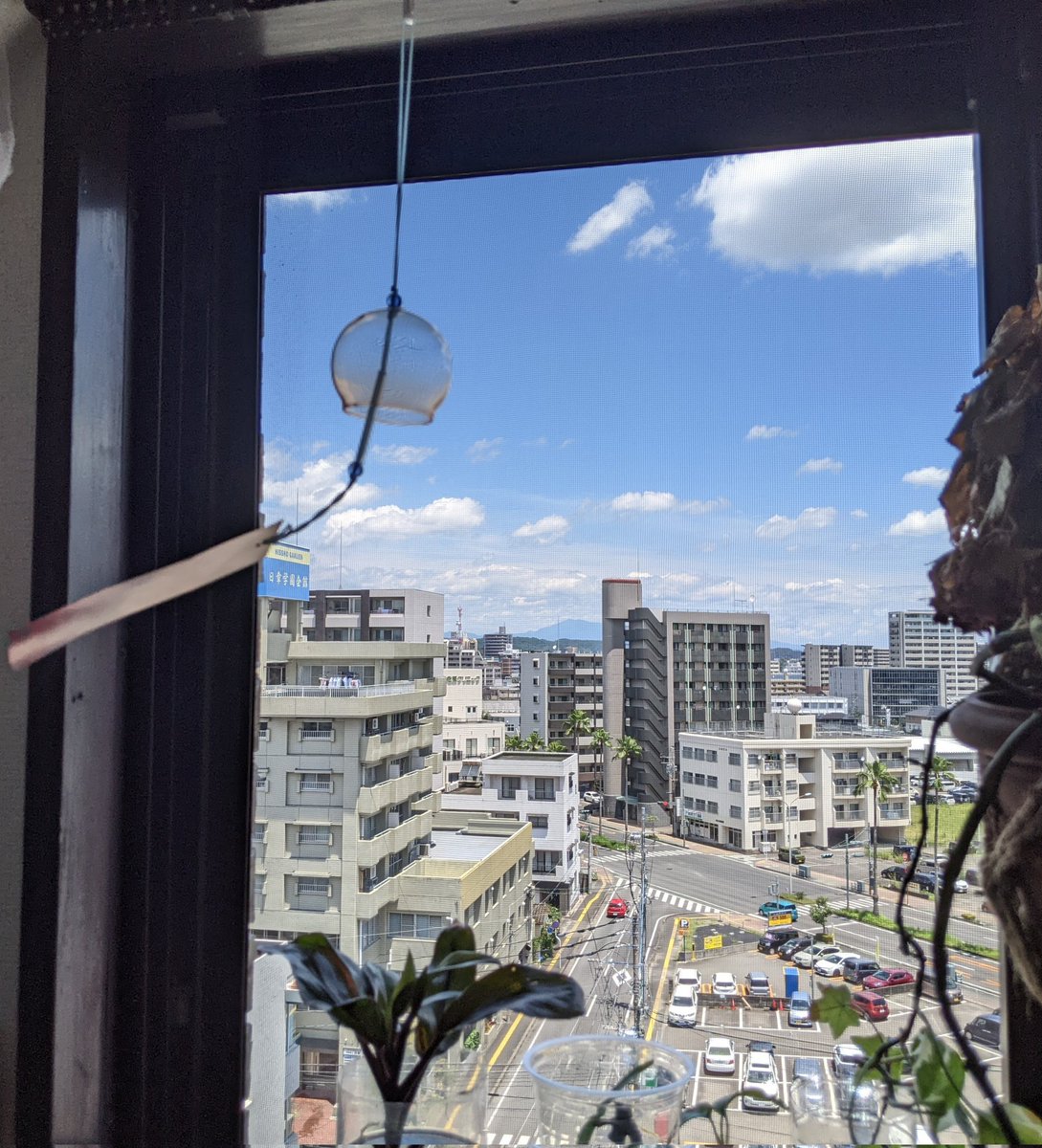 気持ちいい風が風鈴を揺らしました🎐𓂃𓈒𓂂
 #猫のいる暮らし
 #風鈴