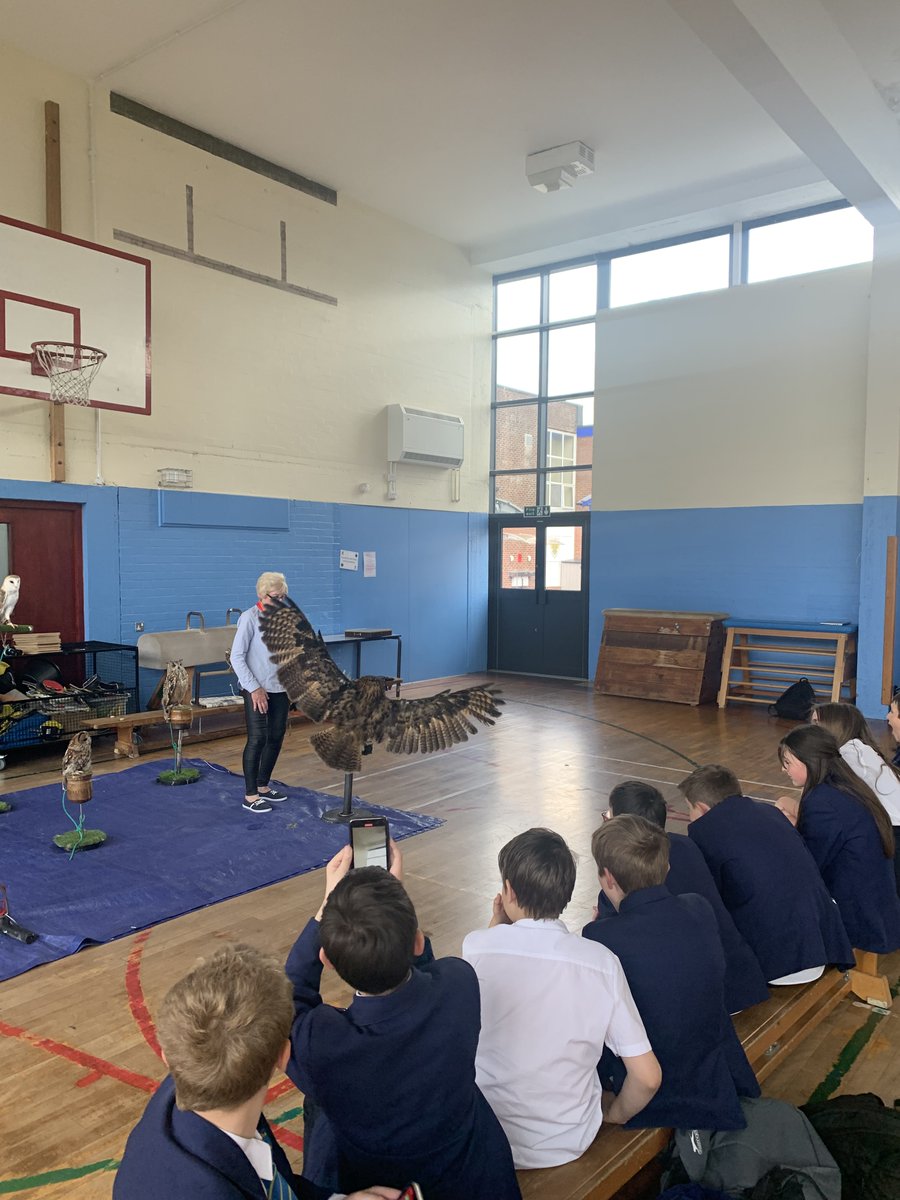 Hodgson Academy tweet media