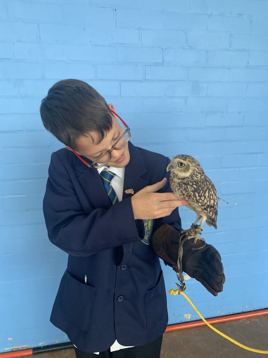 Hodgson Academy tweet media