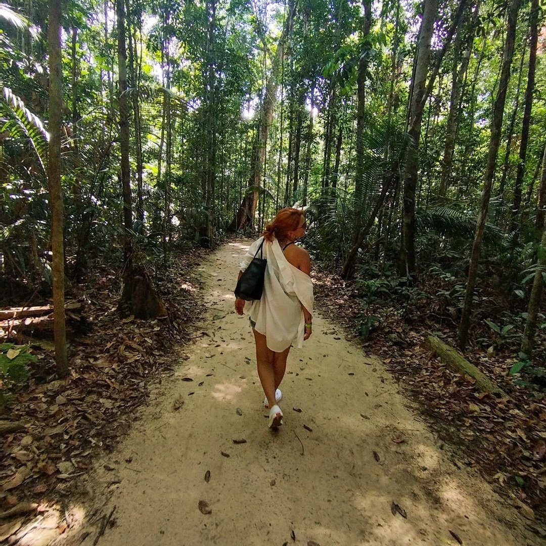 MuseudaAmazonia's tweet photo. Percorrer as trilhas do Musa é algo encantador!

Assim foi com nossa visitante Piririma Holanda, que vem para o #tbt de hoje.

Vem para o Musa!

#vempromusa #conhecerprapreservar #museuvivo #manaus #amazonia #museudaamazonia #reservaducke #floresta https://t.co/niDFZiGloA