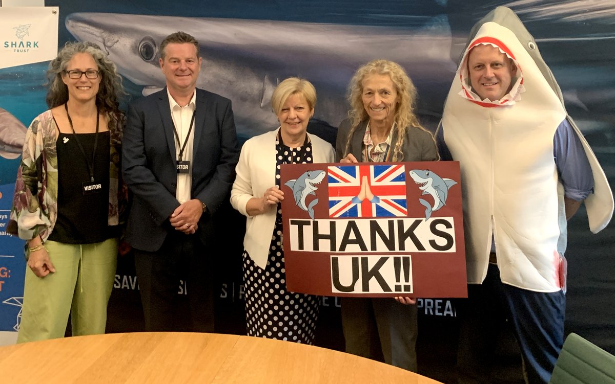 Yesterday we were at a Parliamentary event to celebrate the passing into law of the UK Shark Fins Act! Thanks to all petition signers, NGOs, civil servants, gov't officials and British lawmakers who made it happen! Thanks to @rees4neath for organising! #UKSharkFinBan #sharks