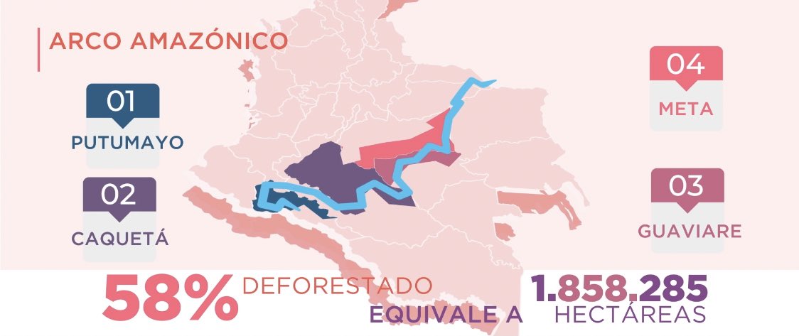 Gustavo Bolívar tweet media