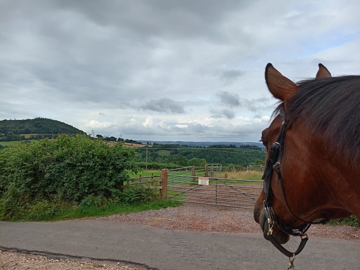 Enjoying the view.