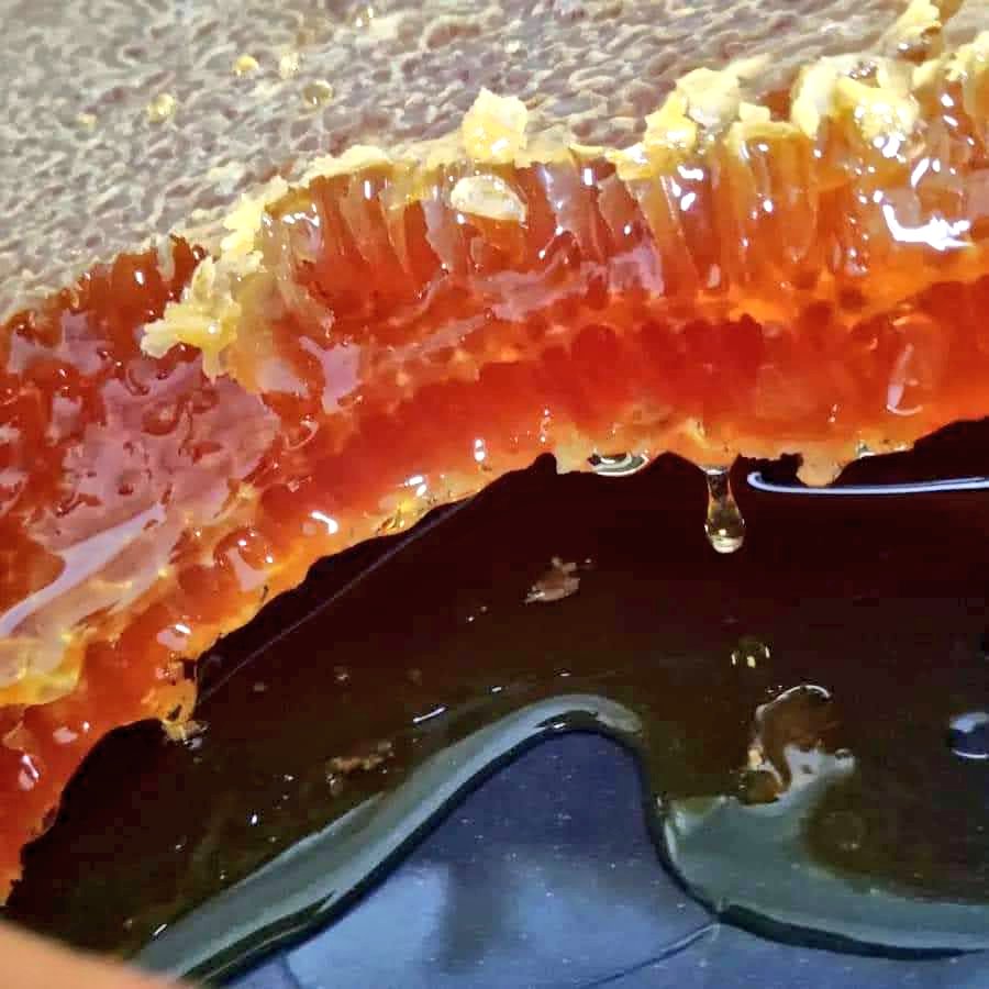 Sivasbalevi's tweet photo. #GERCEKBAL
arayanlar için burdayız
#ZİHNİÇİFÇİSİVASBALEVİ 🇹🇷📩🌹
#bee #nahl #flowerhoney #beekeeping #honey 🍯🍯
#menzil #mekanıcennet #SeyhAbdulbaki #sivas #SonDakika #DiktatörKemal #AliBabacan https://t.co/AIpxd1uZ18